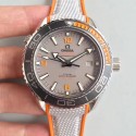 Replica Omega Seamaster Planet Ocean 600M 215.92.44.21.99.001 N Stainless Steel Grey Dial Swiss 8900